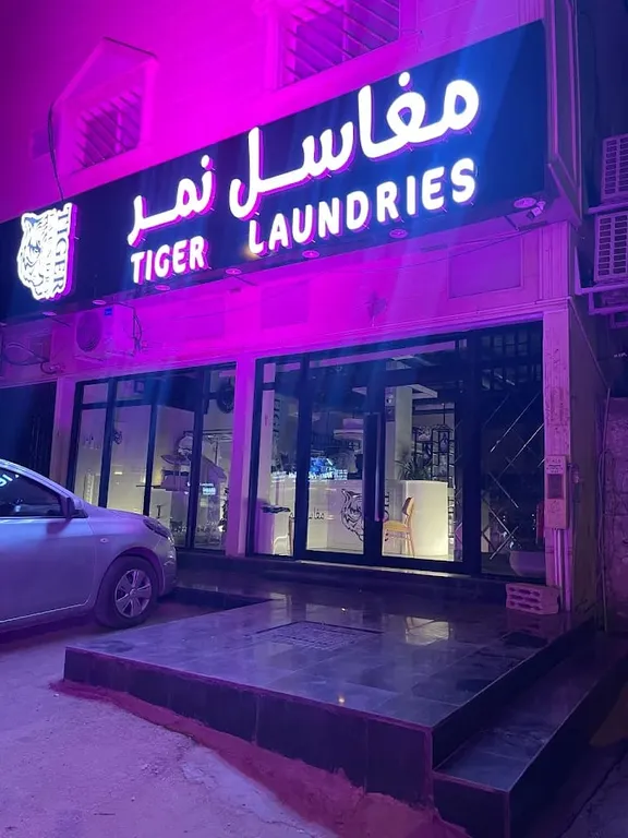 tiger laundry design 1
