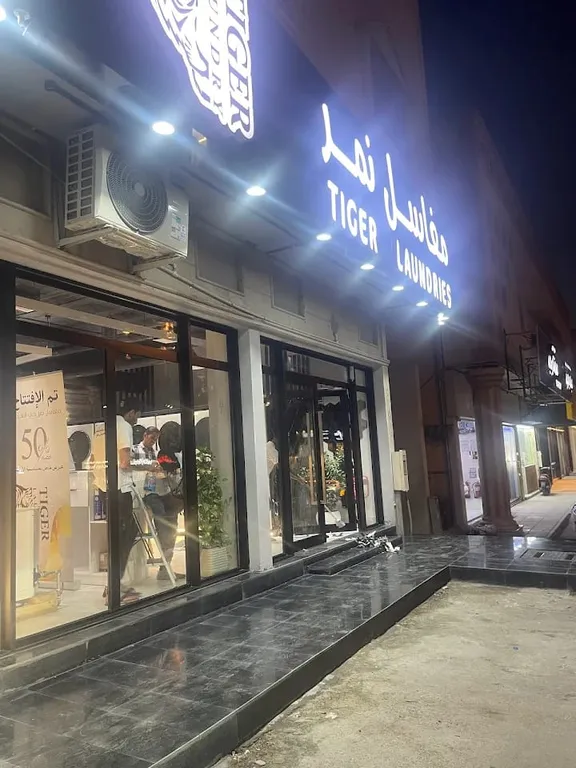 tiger laundry design 2