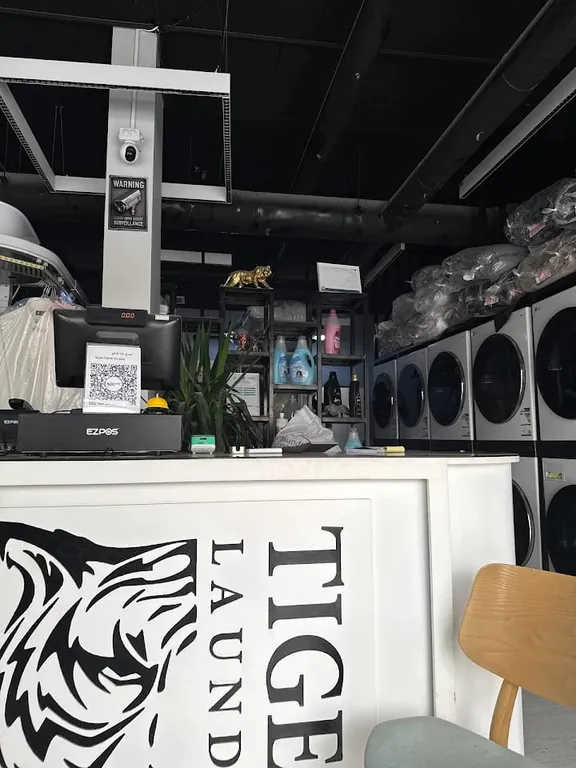 tiger laundry design 3