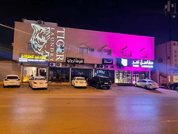 tiger laundry design 6