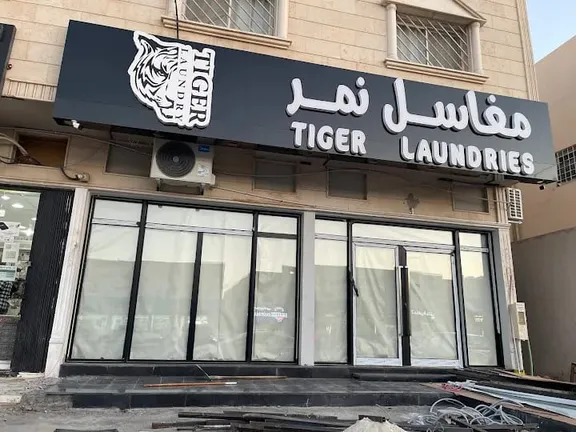tiger laundry design 7