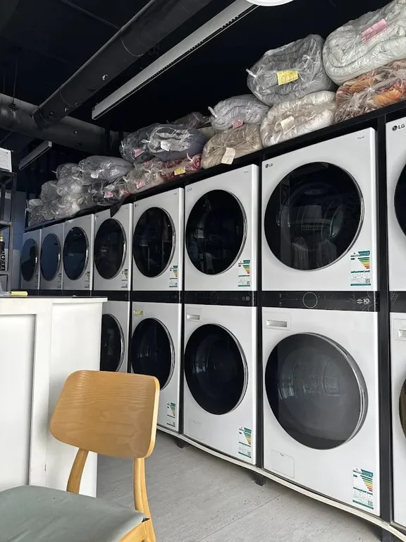 tiger laundry design 8